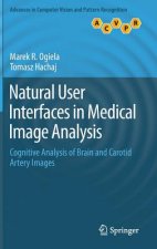 Natural User Interfaces in Medical Image Analysis