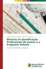 Eficacia na Qualificacao Profissional de Jovens e o Projovem Urbano