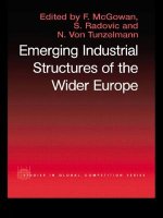 Emerging Industrial Structure of the Wider Europe