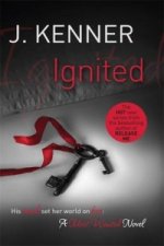 Ignited: Most Wanted Book 3