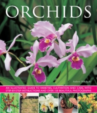 Orchids