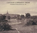 Captain Linnaeus Tripe