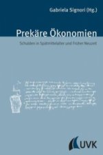Prekäre Ökonomien