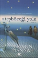 Atesböcegi Yolu