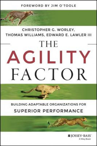 Agility Factor - Building Adaptable Organizations for Superior Performance