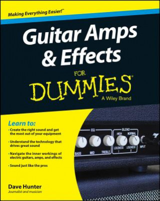Guitar Amps & Effects For Dummies (Dave Hunter)(Puha kötésű)