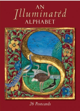 Illuminated Alphabet