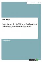 Pathologien der Aufklarung. Das Ende von Erkenntnis, Moral und Subjektivitat