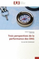 Trois Perspectives de la Performance Des Ong