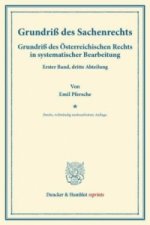 Grundriß des Sachenrechts.