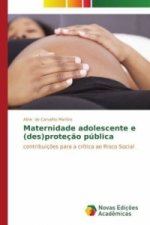 Maternidade adolescente e (des)protecao publica