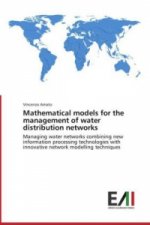 Mathematical Models for the Management of Water Distribution Networks