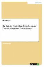 Big Data im Controlling. Techniken zum Umgang mit grossen Datenmengen
