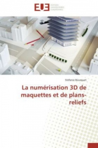 Num risation 3D de Maquettes Et de Plans-Reliefs