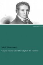 Caspar Hauser oder Die Trägheit des Herzens