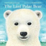 Last Polar Bear