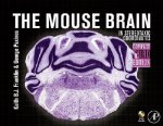Mouse Brain in Stereotaxic Coordinates, Compact