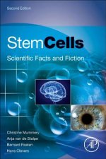 Stem Cells