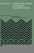 System-Wide Analysis of International Consumption Patterns