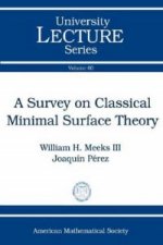 Survey on Classical Minimal Surface Theory