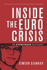 Inside the Euro Crisis - An Eyewitness Account