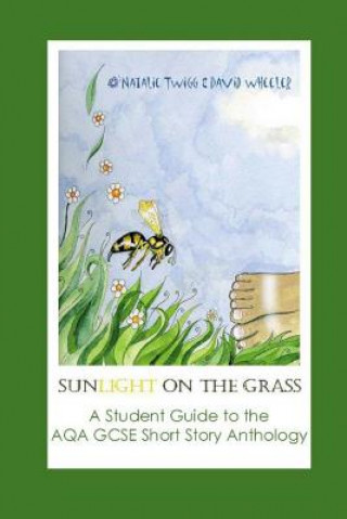 Sunlight on Grass: a Student Guide to the AQA GCSE Short Sto