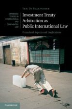 Investment Treaty Arbitration as Public International Law