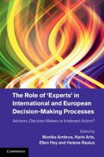 Role of 'Experts' in International and European Decision-Making Processes