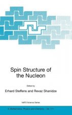 Spin Structure of the Nucleon