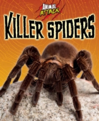 Animal Attack: Killer Spiders