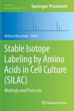 Stable Isotope Labeling by Amino Acids in Cell Culture (SILAC)