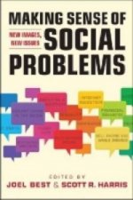 Making Sense of Social Problems