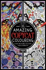 Amazing Copycat Colouring