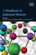 Handbook of Industrial Districts