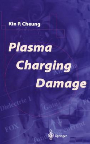 Plasma Charging Damage