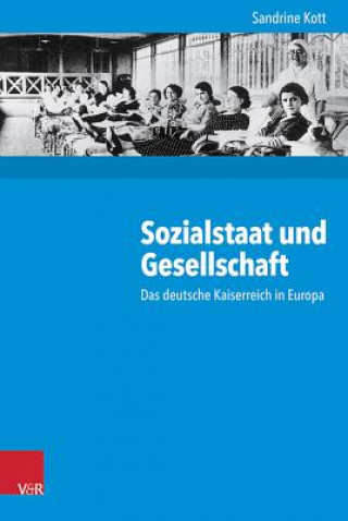 Sozialstaat und Gesellschaft