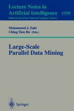 Large-Scale Parallel Data Mining