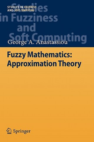 Fuzzy Mathematics: Approximation Theory