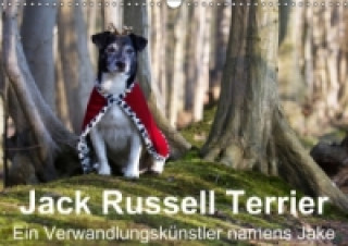 Jack Russell Terrier - Ein Verwandlungskünstler namens Jake / Geburtstagskalender (Wandkalender immerwährend DIN A3 quer)