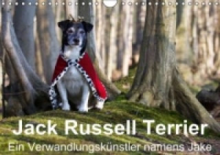 Jack Russell Terrier - Ein Verwandlungskünstler namens Jake / Geburtstagskalender (Wandkalender immerwährend DIN A4 quer)