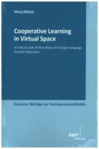 Cooperative Learning in Virtual Space