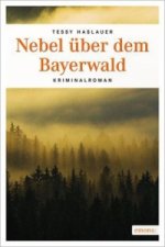 Nebel über dem Bayerwald