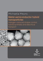 Metal-Semiconductor Hybrid Nanoparticles