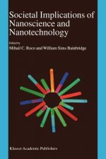 Societal Implications of Nanoscience and Nanotechnology