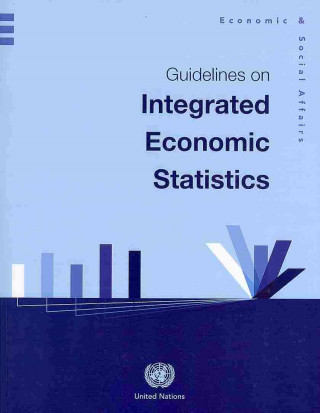 Guidelines on integrated economic statistics