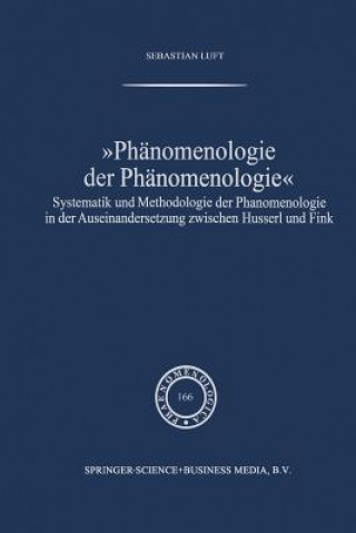 Phanomenologie Der Phanomenologie
