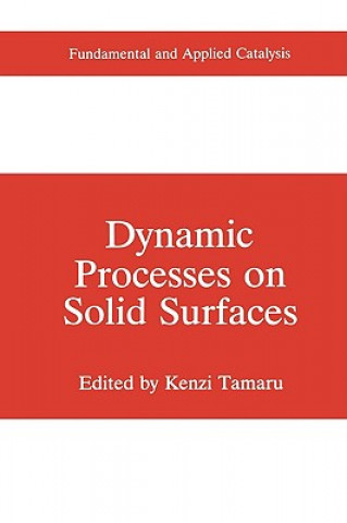 Dynamic Processes on Solid Surfaces