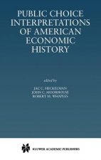 Public Choice Interpretations of American Economic History