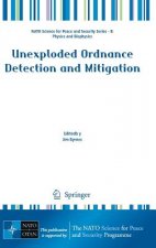 Unexploded Ordnance Detection and Mitigation