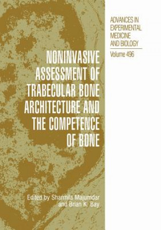 Noninvasive Assessment of Trabecular Bone Architecture and The Competence of Bone